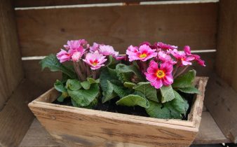 Houten bloembak