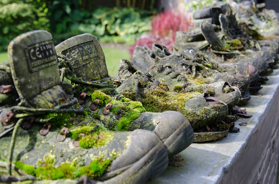 De tuin winterklaar maken is nog best een klusje - ekogoed.nl